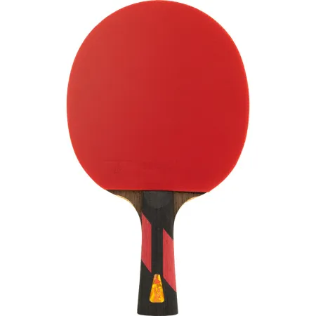 Ракетка для н/т DOUBLE FISH 7A+C, для професс.,ITTF Appr.,накл.2,1мм,+ 2 мяча V40+мм ITTF Appr за 3&nbsp;559.80 ₽ купить в Тольятти