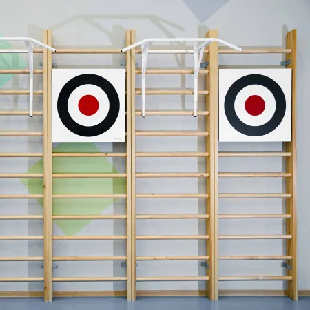 Щит для метания навесной на шведскую стенку (фанера) 700х700 ZAVODSPORTA за 8&nbsp;960 ₽ купить в Тольятти