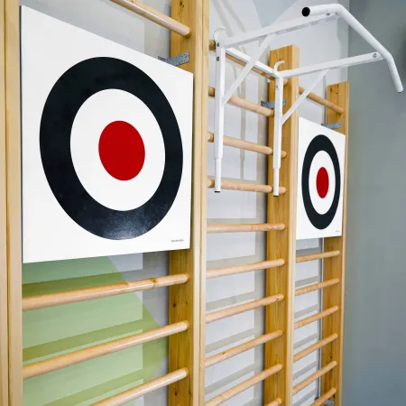 Щит для метания навесной на шведскую стенку (фанера) 700х700 ZAVODSPORTA за 8&nbsp;960 ₽ купить в Тольятти