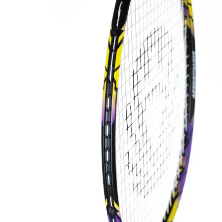 Ракетка бадм. TORRES Carbon PRO6, BD20521,для продв., стерж/обод из карбона,со струнами, фиол за 4&nbsp;477.80 ₽ купить в Тольятти