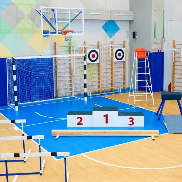 Щит для метания навесной на шведскую стенку (фанера) 700х700 ZAVODSPORTA за 8&nbsp;960 ₽ в Тольятти