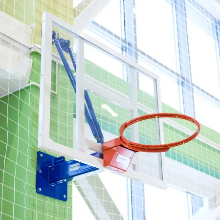 Щит баскетбольный тренировочный (монолитный поликарбонат) 900х1200 мм ZAVODSPORTA за 30&nbsp;800 ₽ купить в Тольятти