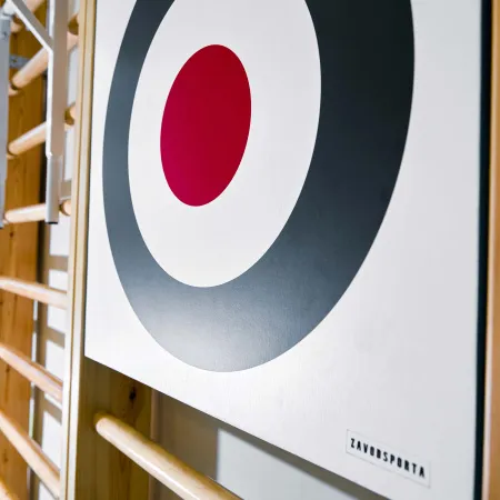 Щит для метания навесной на шведскую стенку (фанера) 700х700 ZAVODSPORTA за 8&nbsp;960 ₽ купить в Тольятти