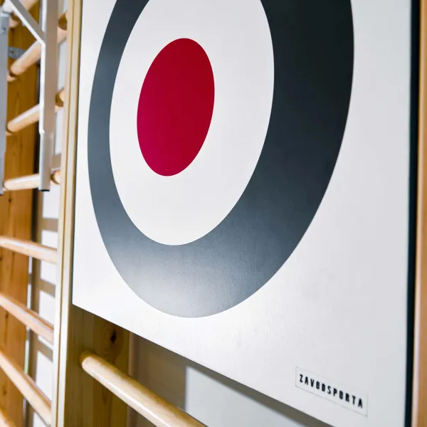 Щит для метания навесной на шведскую стенку (фанера) 700х700 ZAVODSPORTA за 8&nbsp;960 ₽ в Тольятти