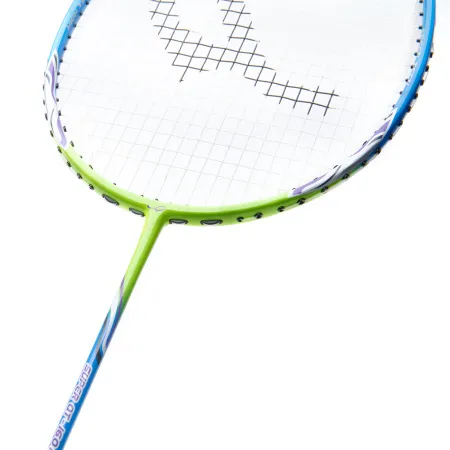 Ракетка для бадм. DOUBLE FISH JINQUE QT-1601, для продвинутых,карбон со струнами,литая,голубой за 3&nbsp;015.80 ₽ купить в Тольятти