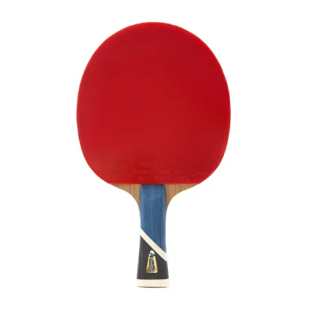 Ракетка для н/т DOUBLE FISH 5A+C, для продвин, ITTF Appr, накл. 2,1 мм, конич. ручка+ 2 мяча V40+мм за 2&nbsp;779.50 ₽ купить в Тольятти