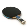 Ракетка для н/т DOUBLE FISH 5A+C, для продвин, ITTF Appr, накл. 2,1 мм, конич. ручка+ 2 мяча V40+мм за 2&nbsp;779.50 ₽ купить в Тольятти