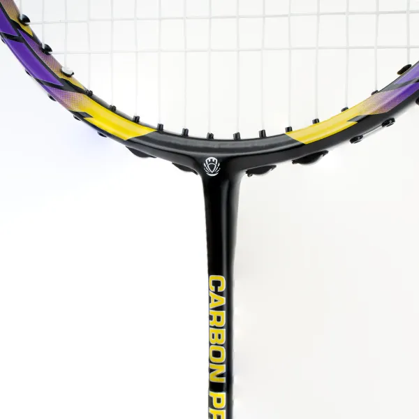 Ракетка бадм. TORRES Carbon PRO6, BD20521,для продв., стерж/обод из карбона,со струнами, фиол за 4&nbsp;477.80 ₽ в Тольятти