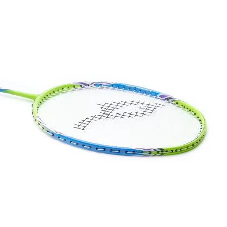 Ракетка для бадм. DOUBLE FISH JINQUE QT-1601, для продвинутых,карбон со струнами,литая,голубой за 3&nbsp;015.80 ₽ купить в Тольятти